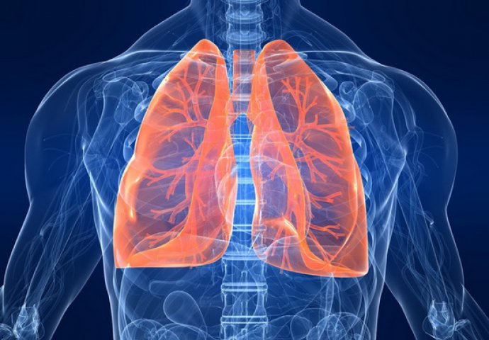 Očistite pluća od nakupljenih toksina