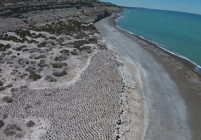 Na prvi pogled izgleda kao obična plaža, ali ako pogledate malo bliže...