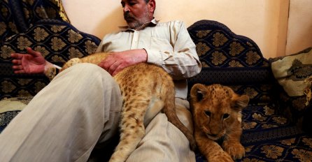 Neobični kućni ljubimci: Palestinac u izbjegličkom kampu odgaja dva mlada lava