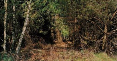 Možete li za 15 sekundi pronaći lovca na ovoj fotografiji?