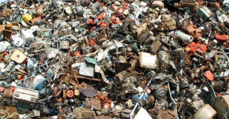 Možete li pronaći crno - bijelu mačku na ovoj fotografiji?