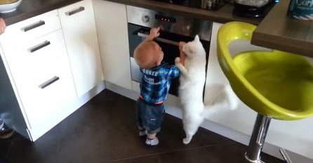 Mačka čuva dječaka - preslatko!