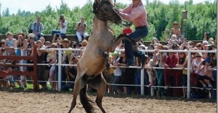NASMIJTE SE KAO NIKAD PRIJE: Na šta sve samo oni nisu spremni?