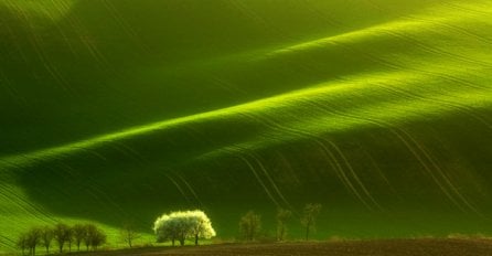 Dobre vijesti: Zemlja sve zelenija!