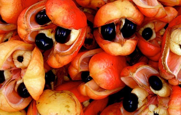 ackee