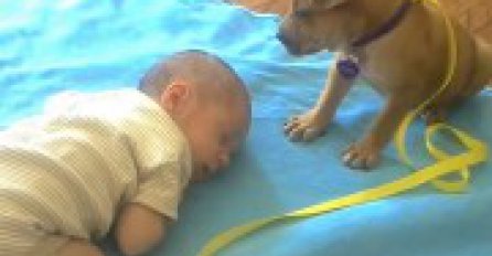 Preslatko: Beba je zaspala, a ono što je štene uradilo će vam rastopiti srce!