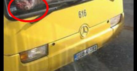 Fotografija iz sarajevskog autobusa obišla svijet: Nećete vjerovati kada vidite o čemu se radi