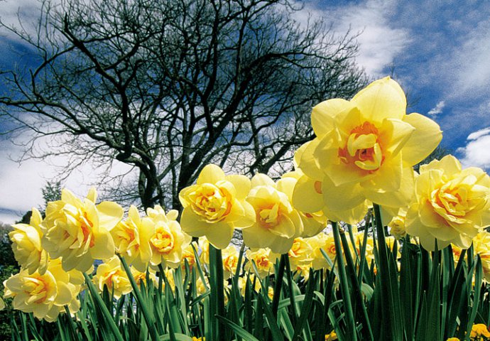 8 karakteristika ljudi rođenih u aprilu