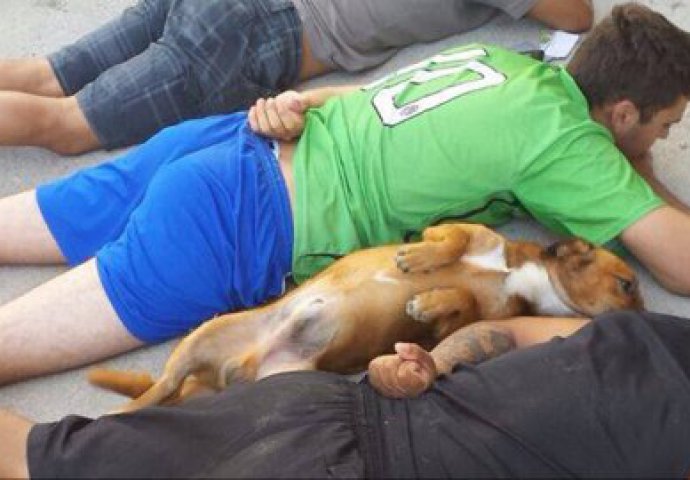 Policija uhapsila narko-dilere, a sa njima i neočekivanog prijestupnika