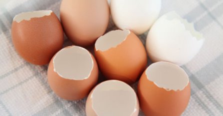 Otkrijte za šta sve možete koristiti ljusku od jaja