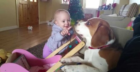 OČARAVAJUĆE: Pogledajte urnebesan snimak beba koje iritiraju preslatke pse