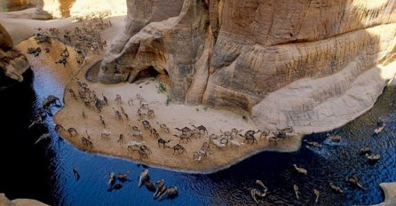 Guelta d’Archei: Oaza puna krokodila