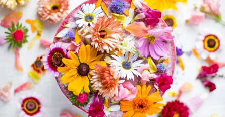 Najljepši proljetni kolači!