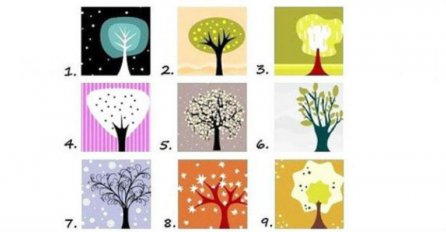 TEST: Odaberite drvo koje vas najviše privlači  i otkrijte sve o sebi