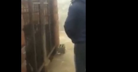 VIDEO: Šutao nogom psa, ali brzo je zbog toga požalio