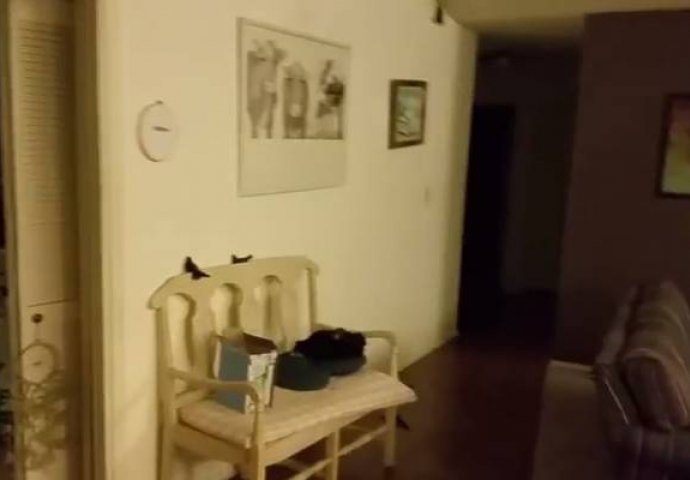 VIDEO: Izašli iz kuće na pola sata, a kada su se vratili nisu mogli vjerovati šta su zatekli