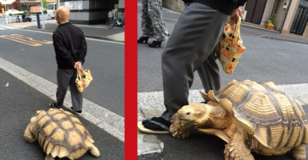 Nevjerovatan prizor: Opušteno šetao s ogromnom kornjačom kroz grad (FOTO)