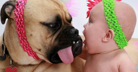 PRESLATKO: Pogledajte urnebesnu komunikaciju neodoljivih beba i pasa!