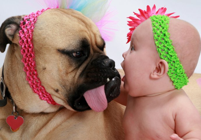 PRESLATKO: Pogledajte urnebesnu komunikaciju neodoljivih beba i pasa!