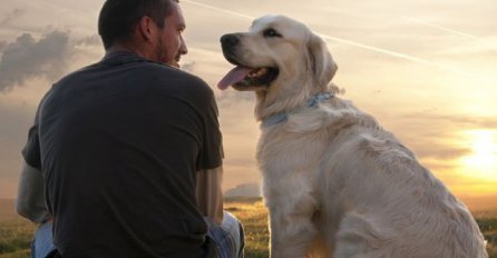 Pas je čovjekov najbolji prijatelj, a evo i šta ih čini takvim 