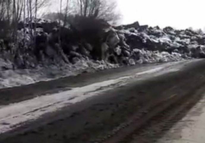 Snimio rijetki prirodni fenomen: Zemlja i drveće "oživjeli" u Rusiji