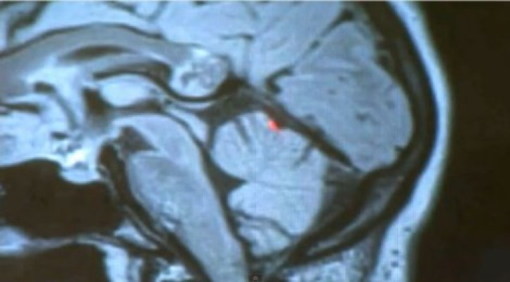 603176-jamini-karanam2-jutjub-ff