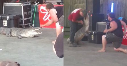 Krvava predstava: Aligator zgrabio dresera za ruku ispred užasnutih gledalaca 