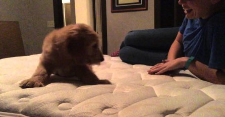 Dečko iznenadio svoju djevojku na najljepši mogući način!