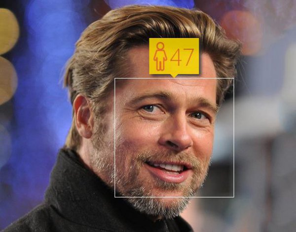 bradpitt