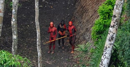 15 fotografija koje dokazuju da je Amazonska prašuma posebna