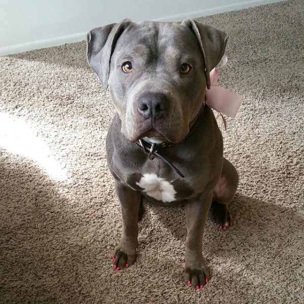 10919764-344988265694078-1948658794-n