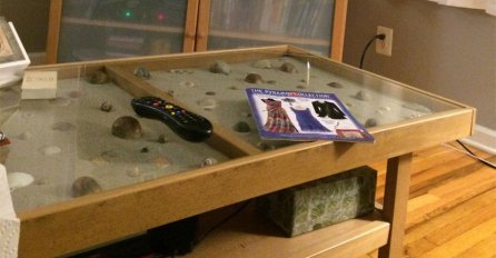 Tri, četiri, sad: Možete li za tri sekunde pronaći mačku na ovoj fotografiji?