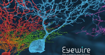 EyeWire: Igrajte se i pomozite naučnicima da mapiraju mozak