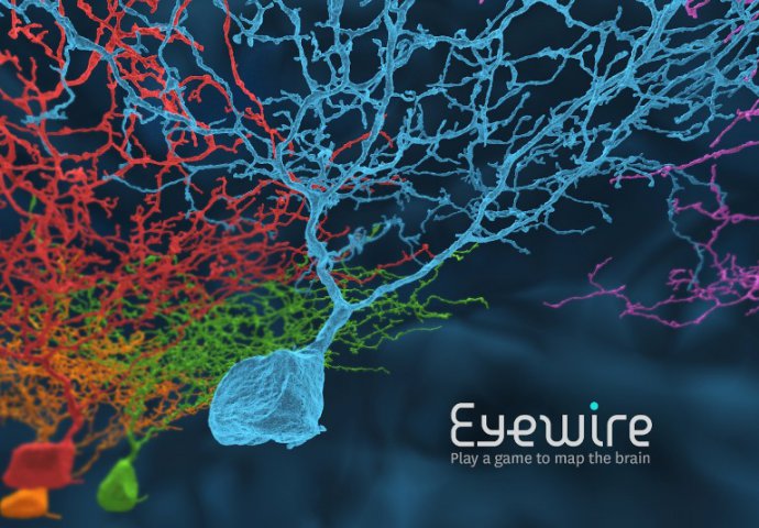 EyeWire: Igrajte se i pomozite naučnicima da mapiraju mozak