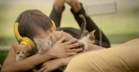 Ovo je najbolja terapija: Mačićima protiv stresa!