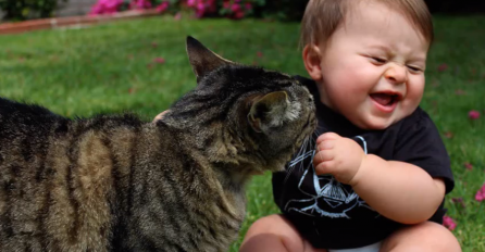 Očaravajuće: Igra neodoljivih beba sa macama