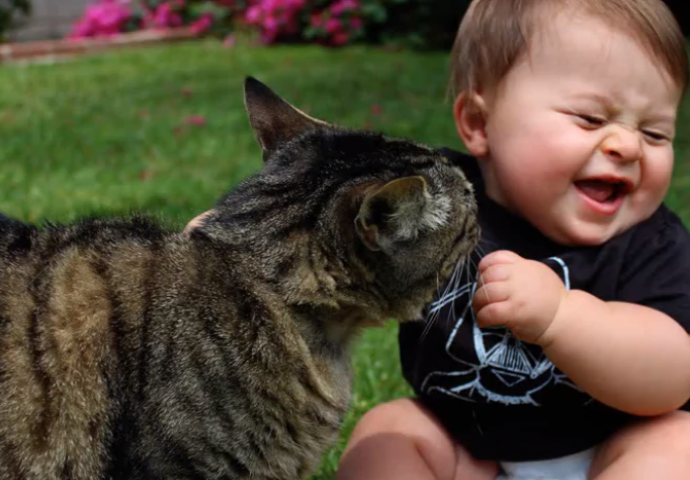 Očaravajuće: Igra neodoljivih beba sa macama