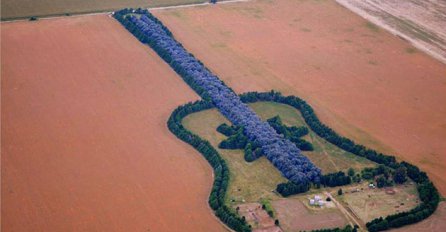 Spomenik ljubavi: Šuma u obliku gitare