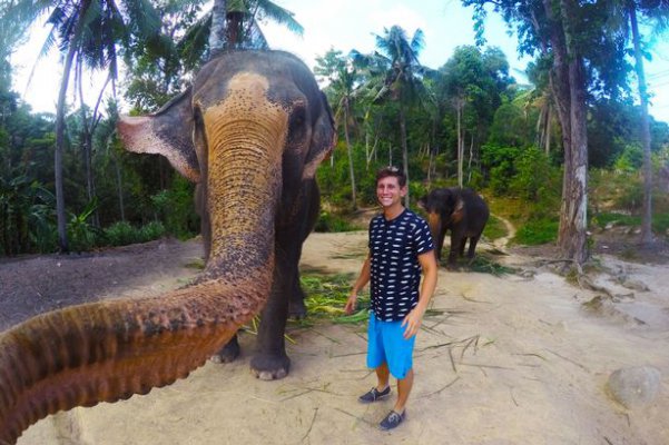 elephant-selfie