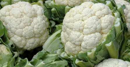 Morate probati: Pečeni listovi karfiola