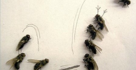 MORBIDNO, ALI UMJETNOST: Iz čiste dosade nastala fascinantna djela