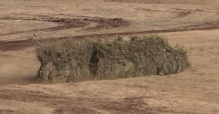 OVO JE SMRTONOSNI ŽBUN: Jedan korak i mrtav si!