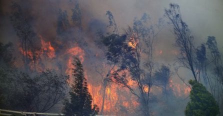 Požari u Kanadi zatvorili naftno postrojenje, dio evakuisanih stanovnika vratio se kućama