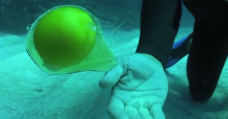 (VIDEO) FASCINANTNO: Pogledajte šta se dogodi kad razbijete jaje duboko pod vodom!