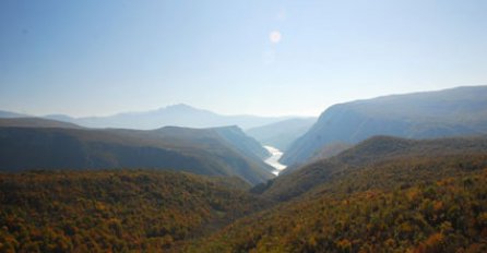 Amerikanci žale što nemaju riječ "VUKOJE*INA", a mi što nemamo ove druge