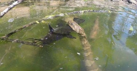 Foto koji je obišao svijet: Pecao ribu na mirnom jezeru, a onda je iz dubine izronilo nešto ogromno