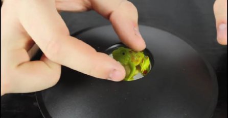 (VIDEO) Ove fenomenalne iluzije su zbunile milione ljudi, hoćete li dati da i vas?