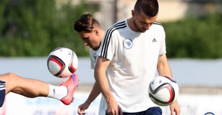 Vedad Ibišević otkrio gdje bi mogao nastaviti karijeru