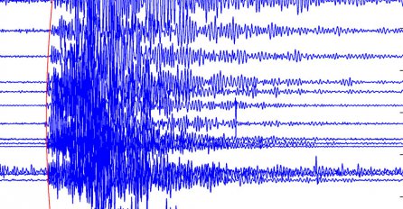 Snažan zemljotres pogodio Maleziju, najmanje 11 poginulih