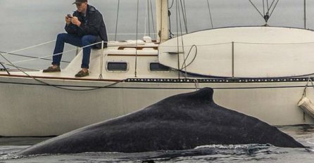 Gledao je u svoj telefon: Nije bio ni svjestan šta prolazi svega par metara od njega...